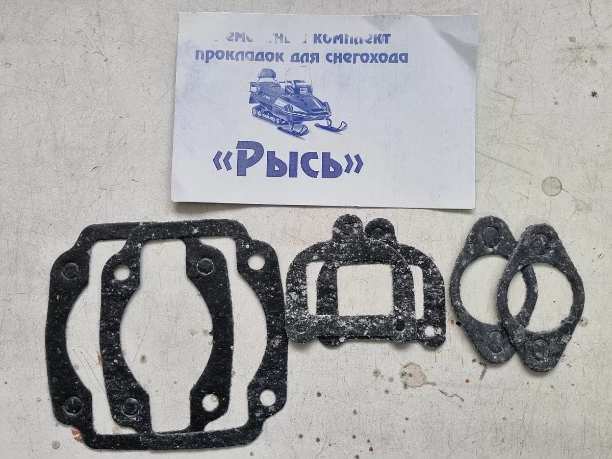 Набор прокладок двигателя Рысь (6 штук)