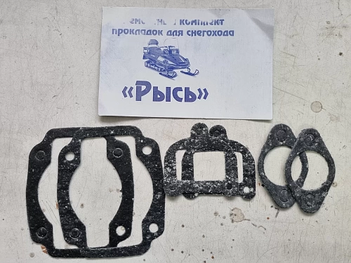 Набор прокладок двигателя Рысь (6 штук)